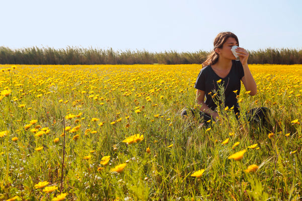 Seasonal Allergy Relief – Treat Your Symptoms and The Root Cause