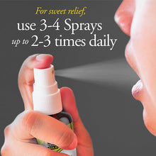 Load image into Gallery viewer, DUTCHMAN'S GOLD Honey and Propolis Throat Spray