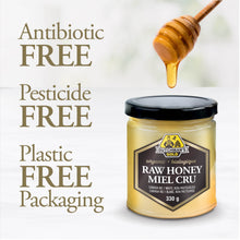 Load image into Gallery viewer, DUTCHMAN'S GOLD Organic Raw Honey 330 g