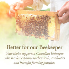 Load image into Gallery viewer, DUTCHMAN'S GOLD Organic Raw Honey 330 g