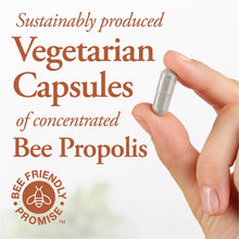 Load image into Gallery viewer, DUTCHMAN'S GOLD Bee Propolis 500 mg 90 caps