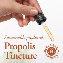 Load image into Gallery viewer, DUTCHMAN'S GOLD Propolis Tincture - Alcohol Free 50 ml
