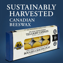 Load image into Gallery viewer, DUTCHMAN'S GOLD Beeswax Tea Lights