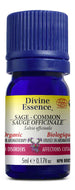 DIVINE ESSENCE Sage - Common (Organic - 5 ml)