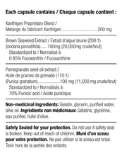 Load image into Gallery viewer, HERBAL MAGIC - VHP Vanilla Meal Replacement Shake