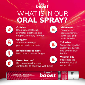 Can-i Boost 6-Pack