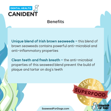 Load image into Gallery viewer, Canident - Clean Dogs Teeth (150 gr)