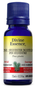 DIVINE ESSENCE Pine Sylvestre (Scotch - Wild - 15 ml)