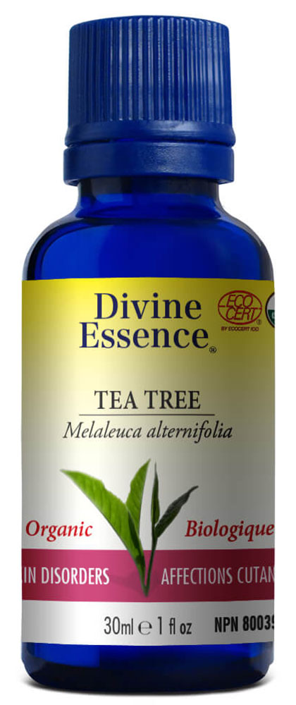 DIVINE ESSENCE Tea Tree (Organic - 30 ml)